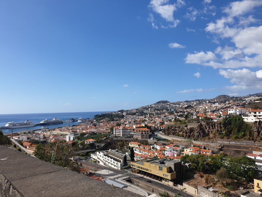 Funchal: Monte Toboggan and Old Town Tour by Tuk-Tuk - What the Monte basket-cart ride is really like
