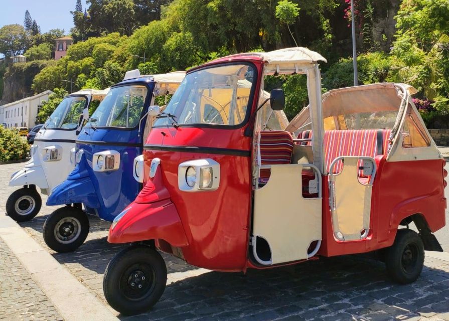 Funchal: Monte Toboggan and Old Town Tour by Tuk-Tuk - The guides make the difference