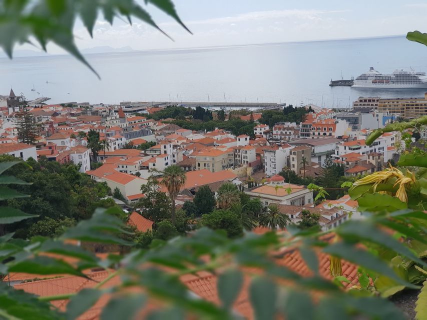 Funchal: Monte Toboggan and Old Town Tour by Tuk-Tuk - Comfort, mobility, and what to bring