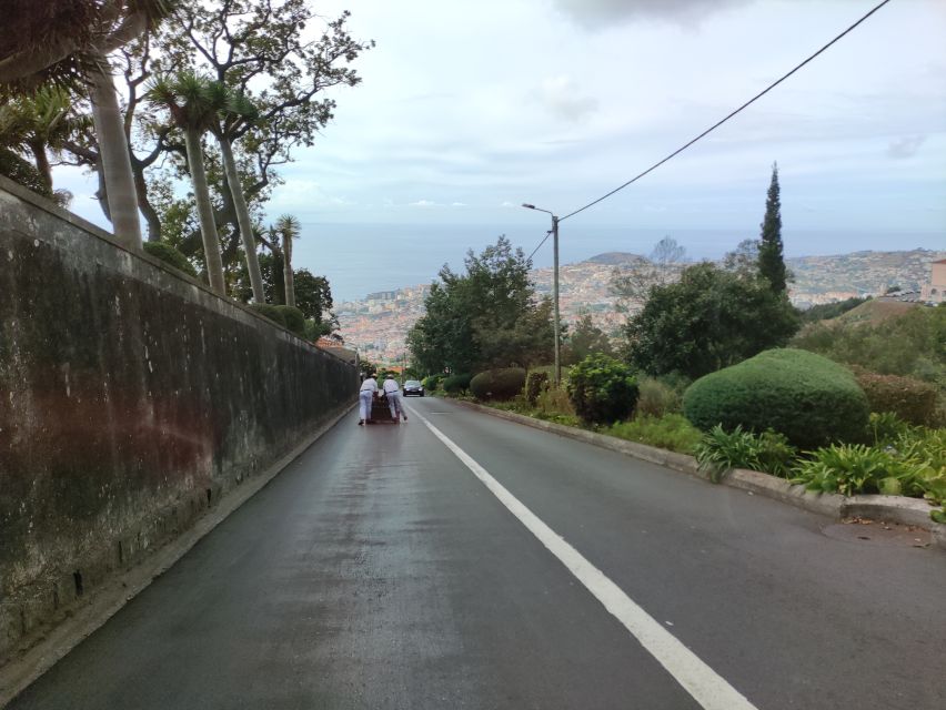 Funchal: Monte Toboggan and Old Town Tour by Tuk-Tuk - The old town and Farmers’ Market before the climb