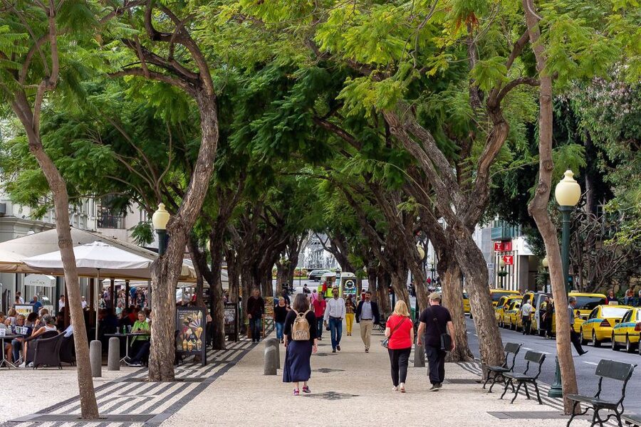 Funchal: Old Town Walking Tour - Starting at the Jesuits’ College in Funchal