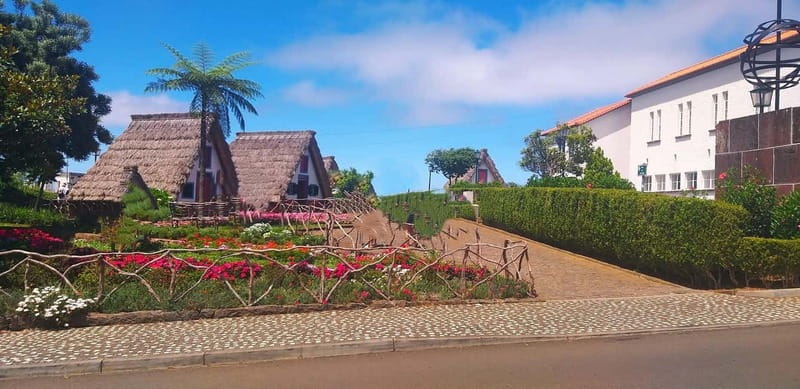 Funchal Private 4-Seater VIP Mercedes / 8-Seater Minibus - Key points to know before booking
