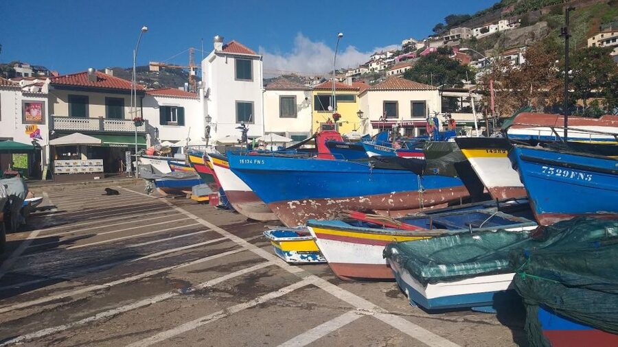 Funchal Private 4-Seater VIP Mercedes / 8-Seater Minibus - The value of a guide who listens