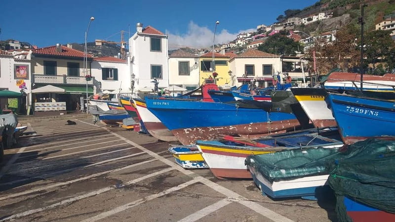 Funchal Private 4-Seater VIP Mercedes / 8-Seater Minibus - An eight-hour pace that leaves room for detours
