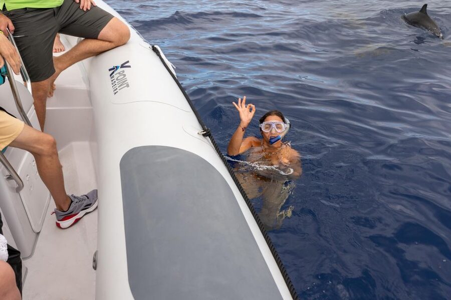Funchal: RIB Whale Watching Cruise and Optional Dolphin Swim - Why this RIB trip feels more personal