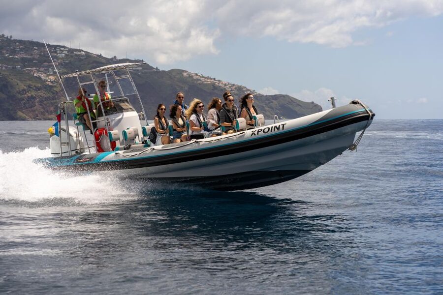 Funchal: RIB Whale Watching Cruise and Optional Dolphin Swim - Searching for dolphins and whales
