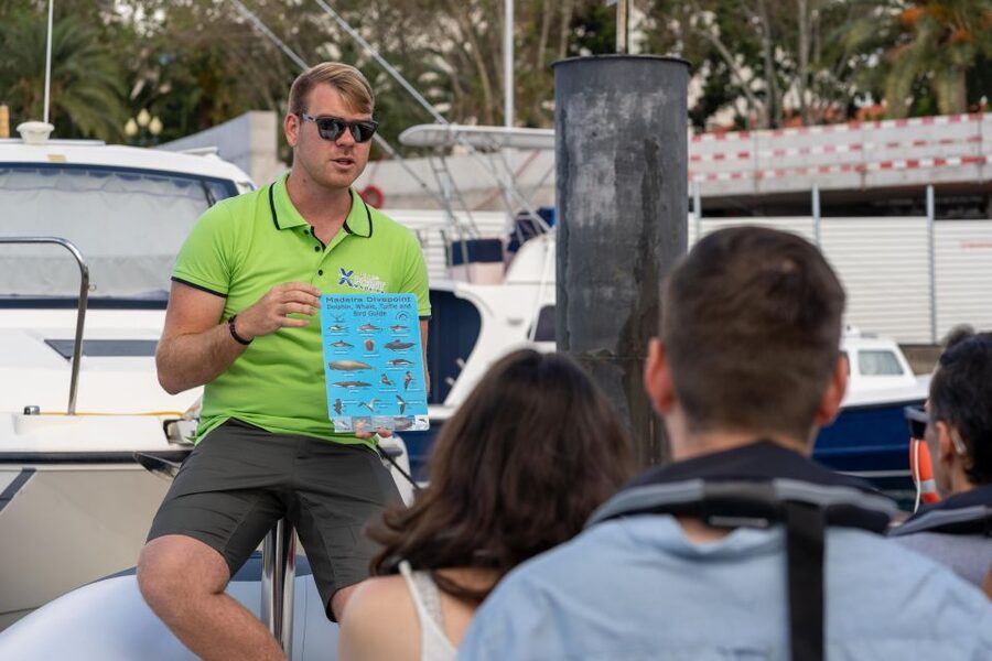 Funchal: RIB Whale Watching Cruise and Optional Dolphin Swim - What the Cabo Girão stop adds