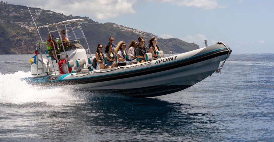 Funchal: RIB Whale Watching Cruise and Optional Dolphin Swim - Leaving Funchal with Madeira’s coast in view