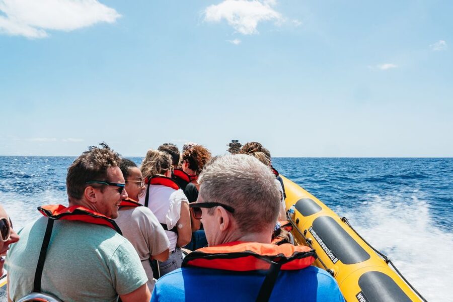 Funchal: Whale and Dolphin Watching Speed Boat Tour - Who should book this speed boat tour?
