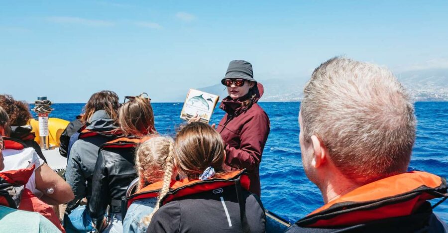 Funchal: Whale and Dolphin Watching Speed Boat Tour - Leaving from Pier 8 at Funchal Marina