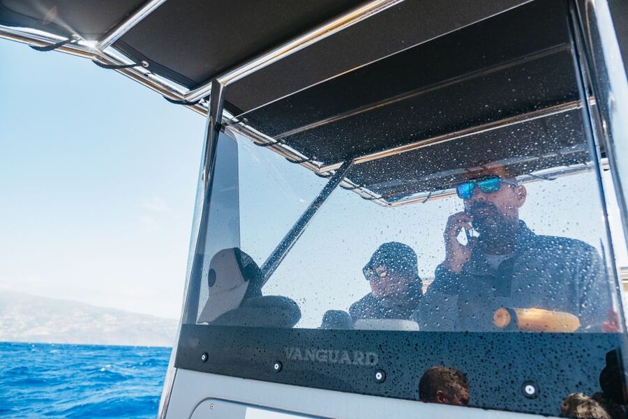 Funchal: Whale and Dolphin Watching Speed Boat Tour - The coastline is part of the reward