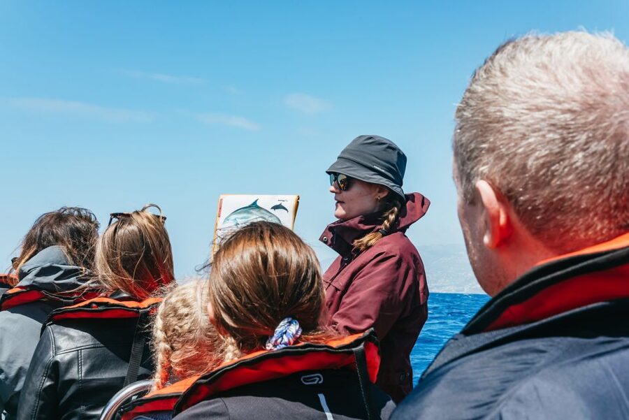 Funchal: Whale and Dolphin Watching Speed Boat Tour - Timing, weather, and practical comfort