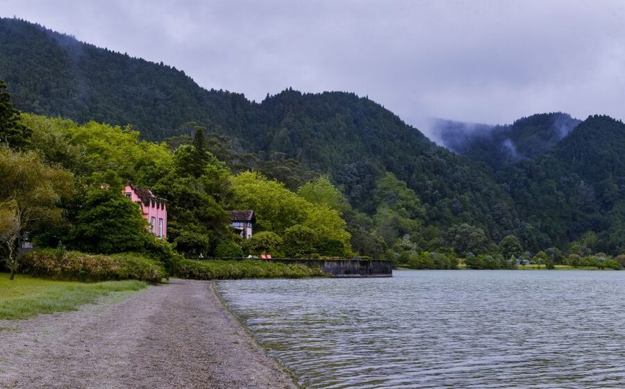 Furnas: Tea Plantations, Lake and Volcano Guided Tour - Pineapple plantation and local tasting