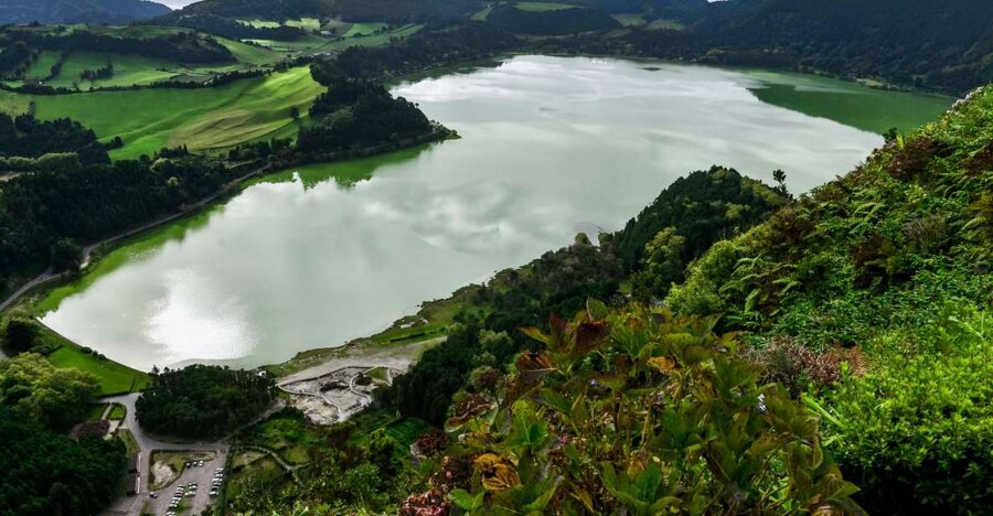 Furnas: Tea Plantations, Lake and Volcano Guided Tour - Gorreana Tea Plantation, São Miguel’s green first act