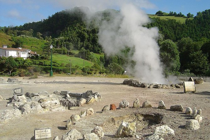 Furnas Volcano & Tea Plantation With Traditional Lunch, East Tour - Gorreana Tea Plantation: a rare European tea stop