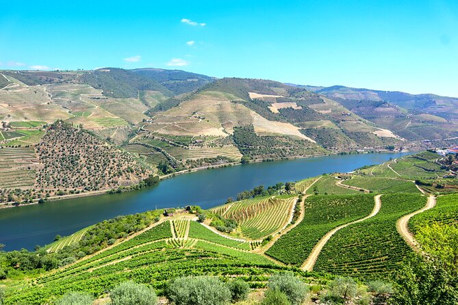 Genuine Douro Valley Tour: Visit 2 Wineries, Lunch & River Cruise - Quinta do Tedo: wine with a river view