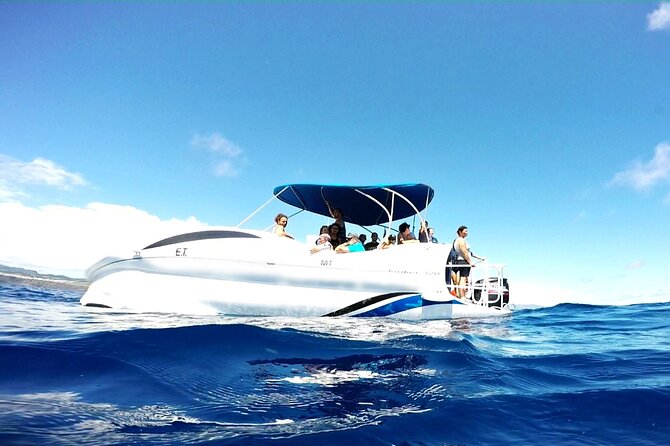 Glass Bottom Boat Tour & Snorkeling in São Miguel, Azores - Snorkeling beside the protected islet