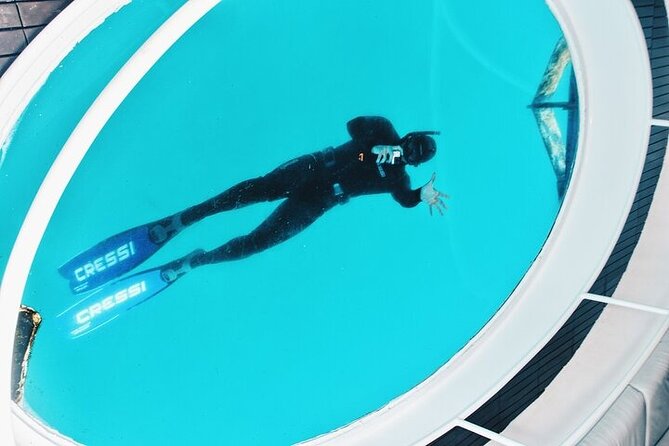 Glass Bottom Boat Tour & Snorkeling in São Miguel, Azores - Is $60.49 a fair price?