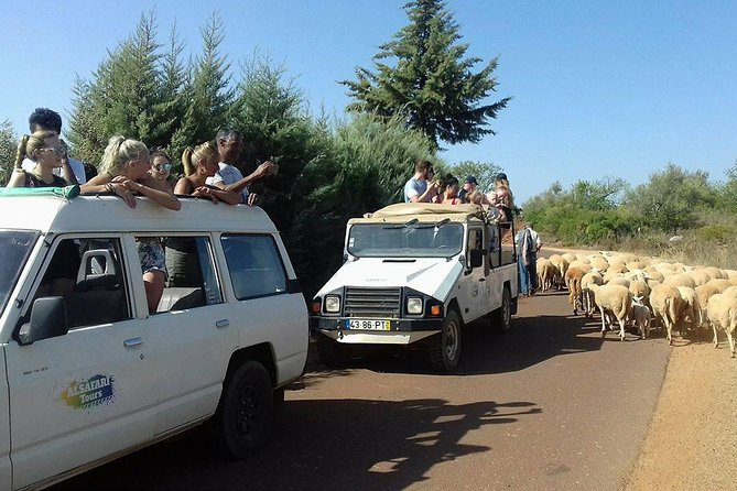 Half-Day Algarve Countryside and Villages Jeep Safari - The high viewpoint above São Bartolomeu de Messines