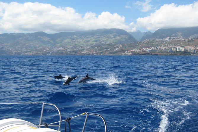 Half-day Catamaran Trip from Funchal - The Cabo Girão stop and Atlantic swim