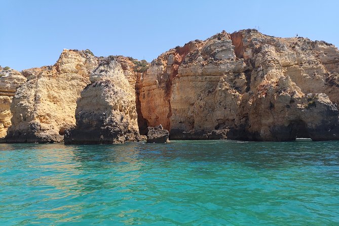 Half Day Cruise to Ponta da Piedade with Lunch and Drinks - Who will enjoy this cruise most?