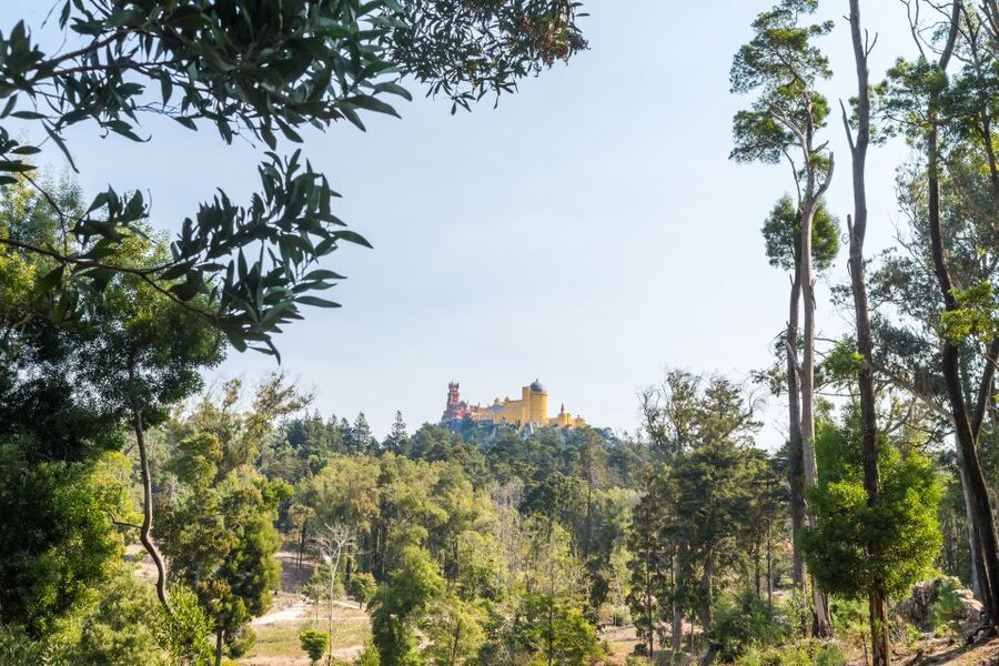 Half-Day Sintra Tour from Lisbon with Transfers - Queluz Palace: a good alternative near Lisbon