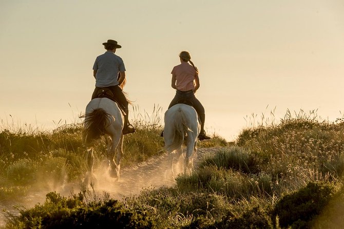 Horse Riding on the Beach - Key points to know before you ride