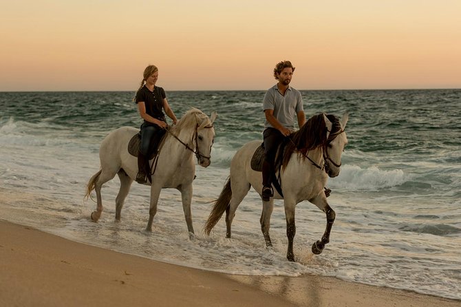 Horse Riding on the Beach - Reaching the beach after a gentle warm-up