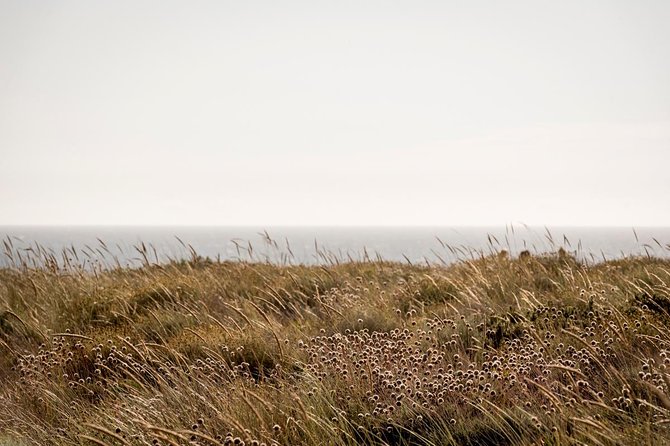 Horse Riding on the Beach - Passing the Melides lagoon and its birdlife