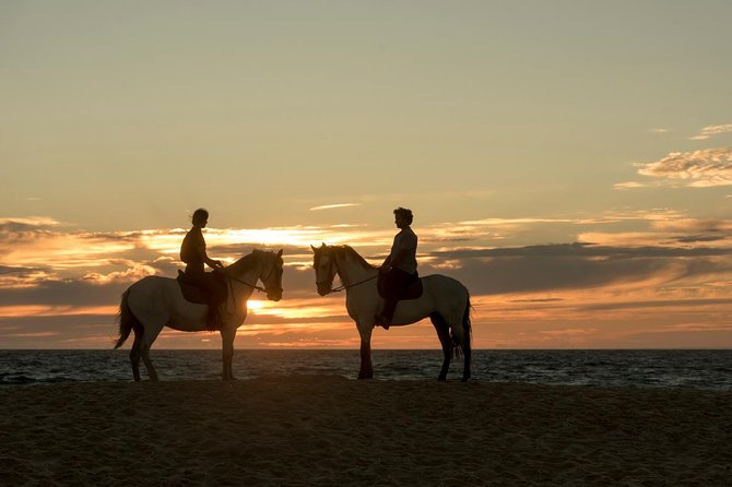 Horse Riding on the Beach - Is $98.84 per person fair value?