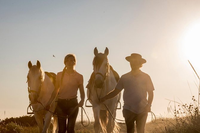 Horse Riding on the Beach - What the pace feels like for first-time riders