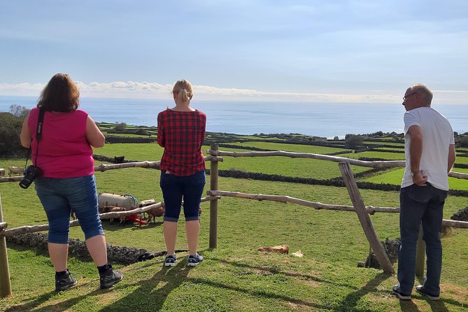Island Van Tour (Full Day) | Terceira Island - Queijo Vaquinha and a taste of Terceira