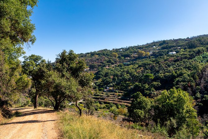 Jeep Safari #1 in Algarve - Bumping Along the Mountain Tracks