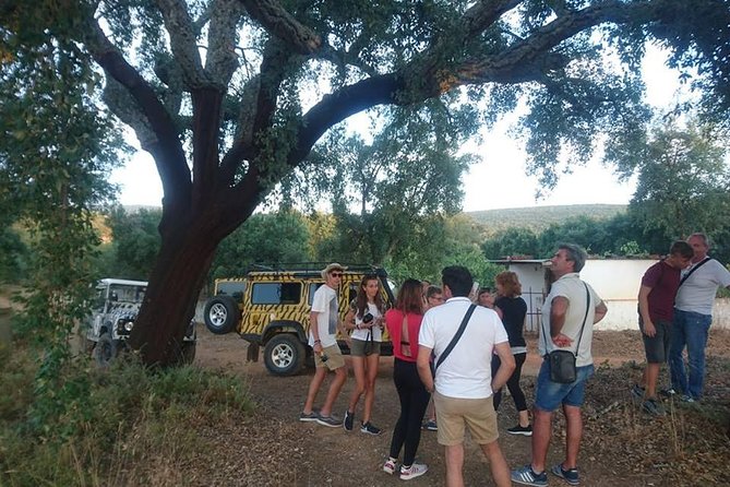 Jeep Safari Tour - Full Day - Local Tastings and a Hearty Portuguese Lunch
