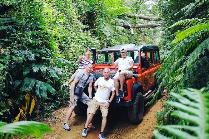 Jeep Tour Amazing West to Natural Pools -Full-Day - Ponta do Sol and the waterfall road