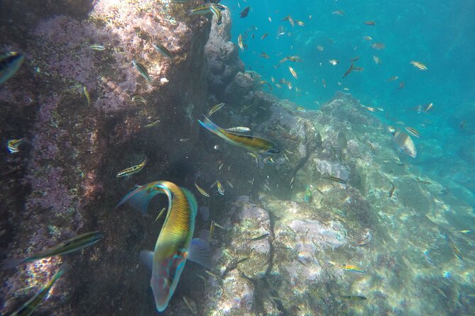 Kayak and Snorkeling Tour in Underwater Nature Reserve Garajau - The people make the difference