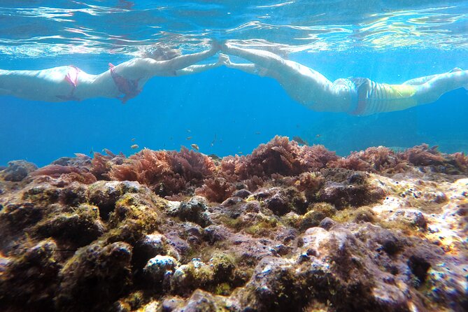 Kayak and Snorkeling Tour in Underwater Nature Reserve Garajau - Who should book this Garajau outing?