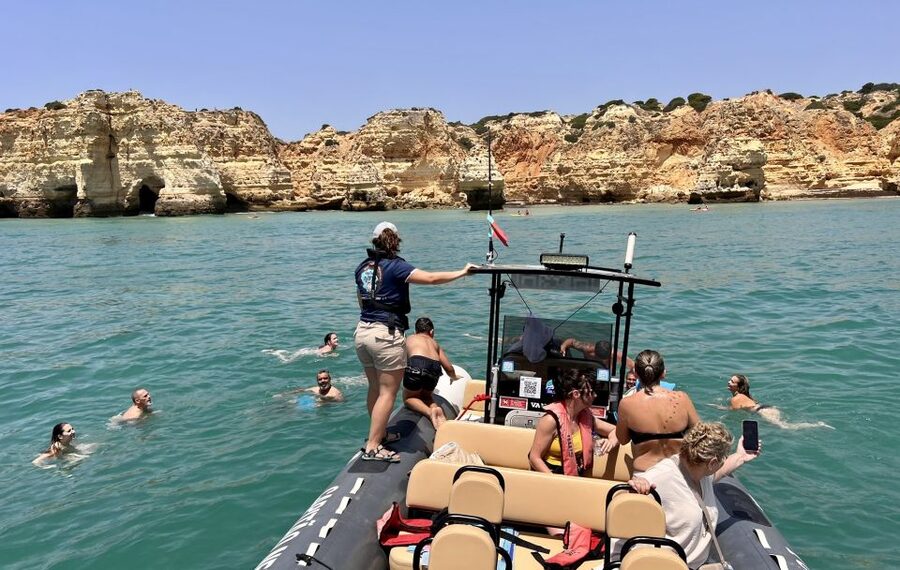 Lagoa: Dolphin Watching & Benagil Tour with Biologist Guide - How the price compares with the experience
