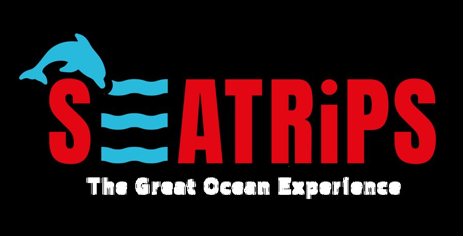 Lagos: Combo Dolphin and Benagil Tour with Marine Biologist - Key points at a glance