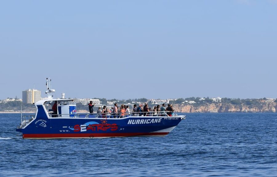Lagos: Combo Dolphin and Benagil Tour with Marine Biologist - Practical tips for a better outing
