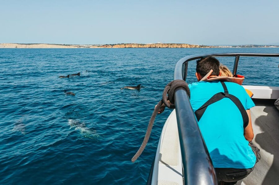 Lagos: Dolphin Watch Tour with Professional Marine Biologist - Who should book this dolphin tour?