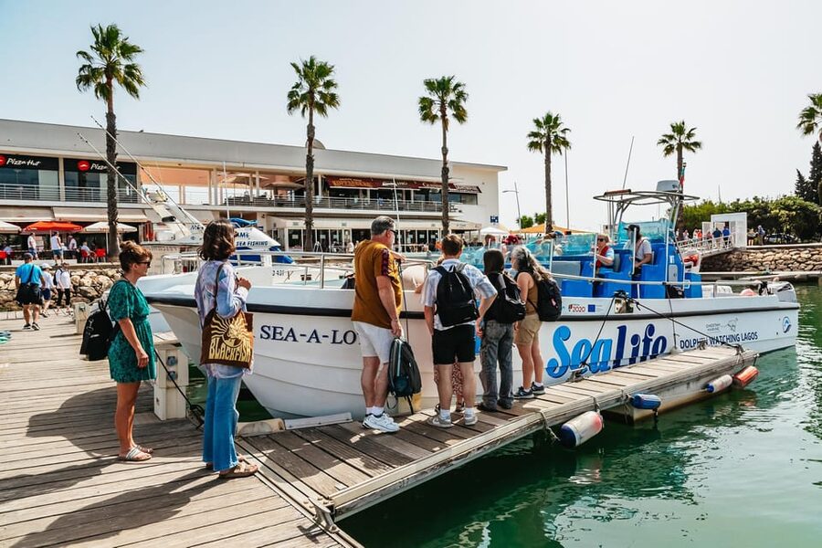 Lagos: Dolphin Watch Tour with Professional Marine Biologist - What the marine biologist adds to the trip