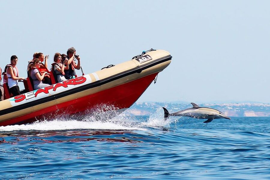 Lagos: Dolphin Watching with Professional Marine Biologists - Who will enjoy this most?