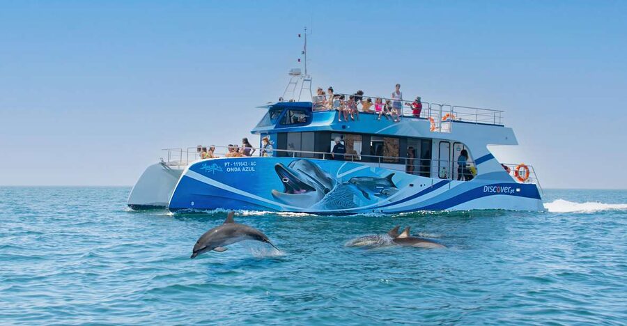Lagos: Dolphins & Caves - Catamaran - Why the marine biologist commentary adds value