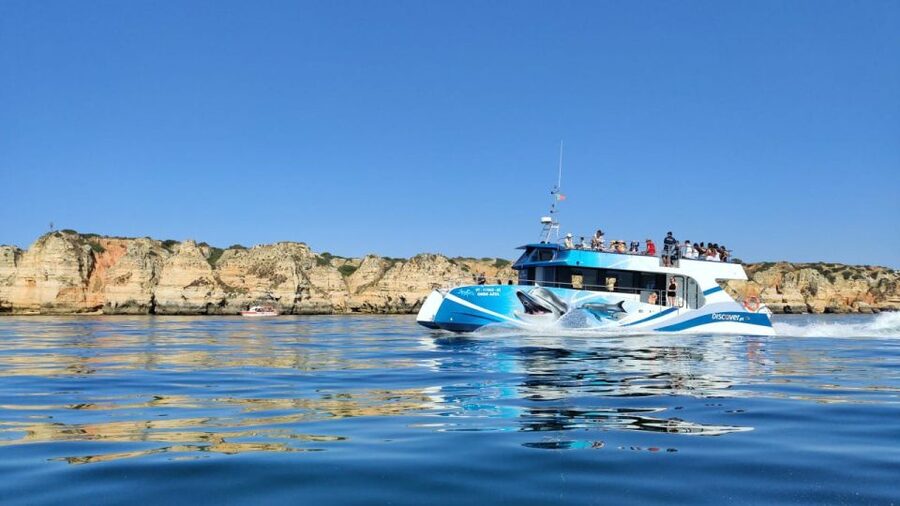 Lagos: Dolphins & Caves - Catamaran - Searching open water for dolphins
