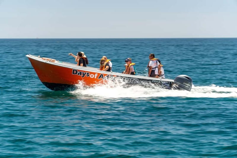 Lagos: Ponta da Piedade Caves Boat Tour - Guides who make the ride more than a photo trip