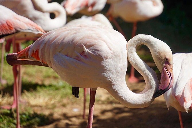 Lagos Zoo Admission Ticket - Key points to know before you go