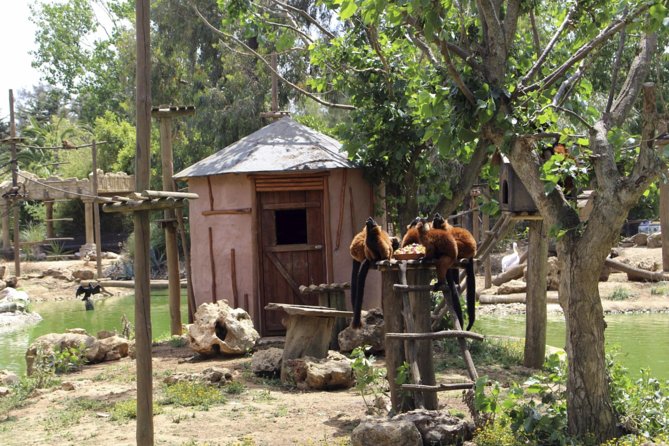 Lagos Zoo Admission Ticket - Why Lagos Zoo works as a break from the beach