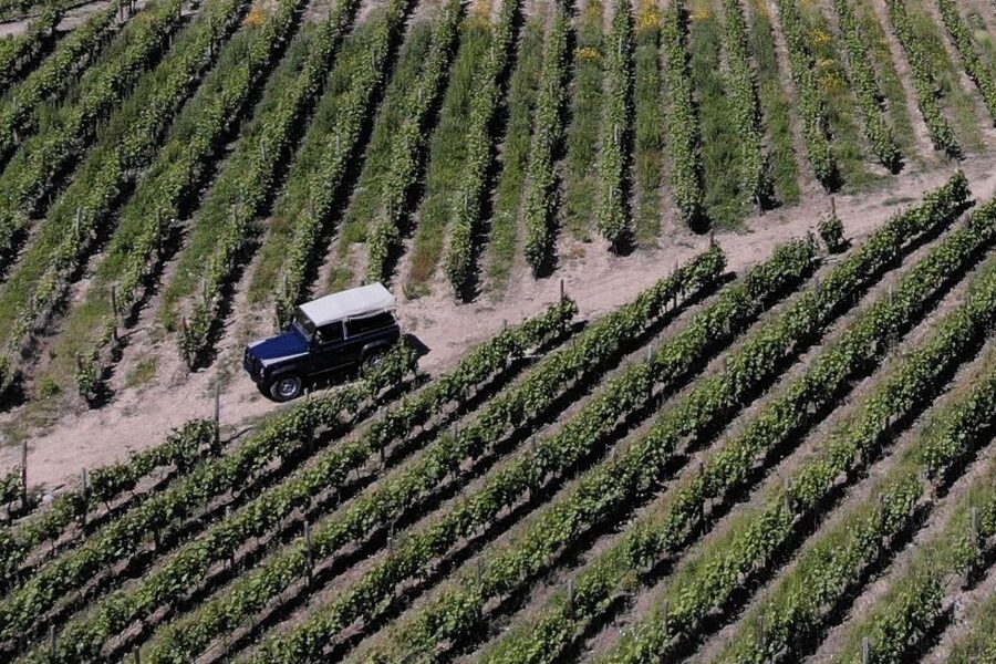 Lamego: Quinta da Portela de Baixo Winery Tour and Tasting - Six glasses, plus the food that makes them work