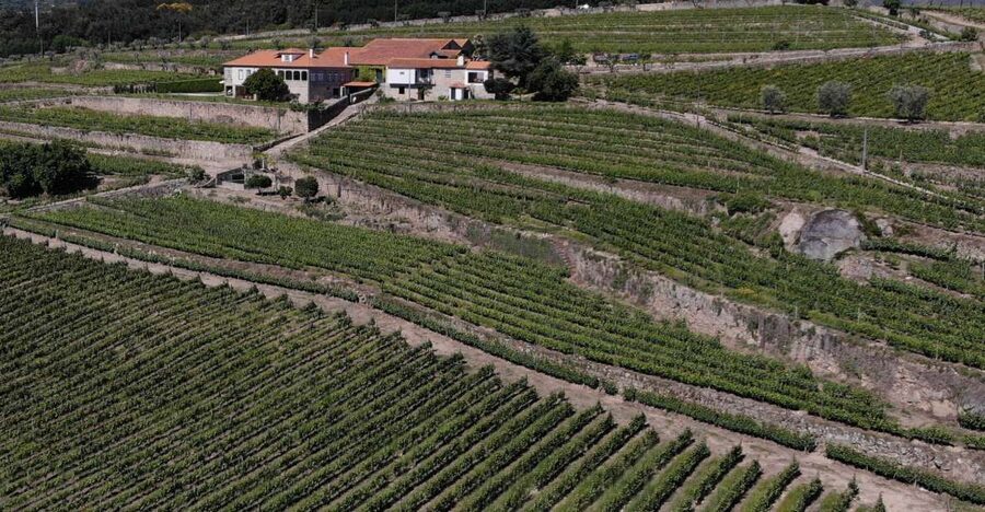 Lamego: Quinta da Portela de Baixo Winery Tour and Tasting - Who will enjoy this visit most?